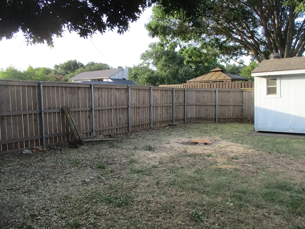 Cleared yard after professional tree removal in Waco