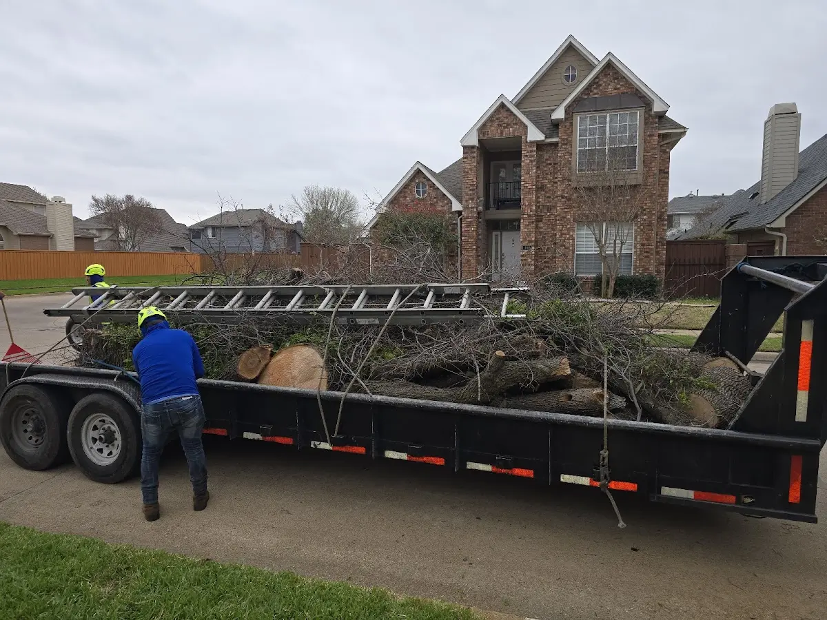 Expert Tree Pest Control with proper safety equipment in Waco